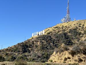 Hollywood Sign Trail
